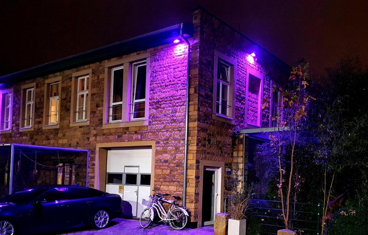 Papageiennest Daire Dresden Dış mekan fotoğraf
