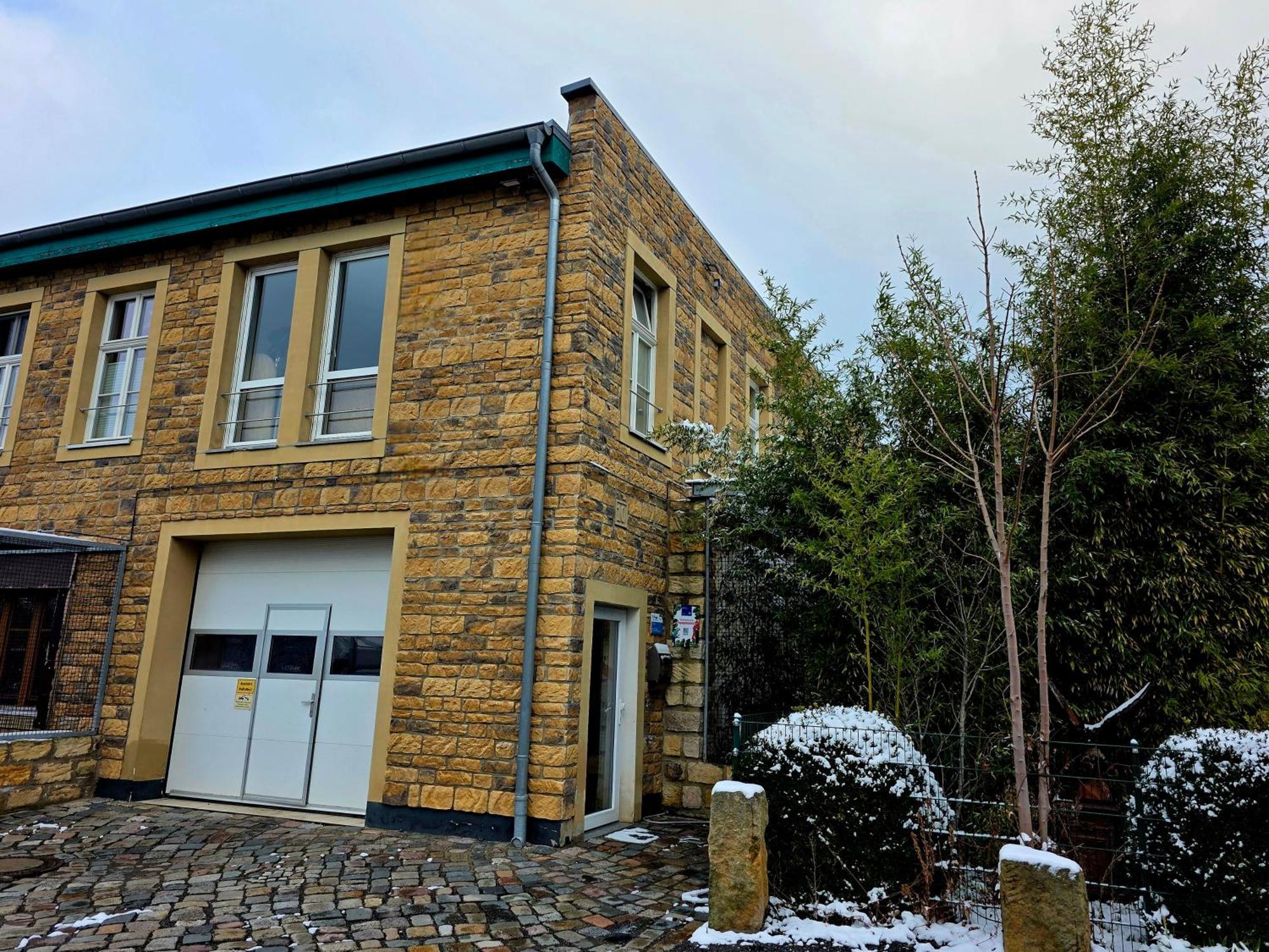 Papageiennest Daire Dresden Dış mekan fotoğraf